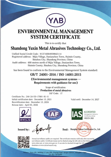 Environmental management system — English translation