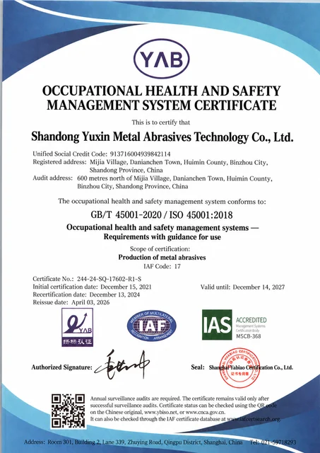 Occupational health and safety management system — English translation